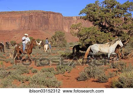 "Navajo cowboys with Mustangs, Utah, United States, North America" View Large Photo Image Stock Image - "Navajo cowboys with Mustangs, Utah, United States, North America". Fotosearch