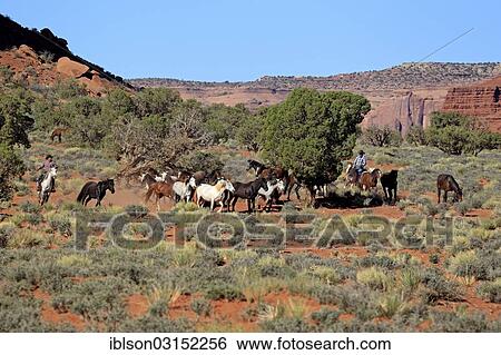 "Navajo cowboys with Mustangs, Utah, United States, North America" View Large Photo Image Stock Photograph - "Navajo cowboys with Mustangs, Utah, United States, North America". Fotosearch