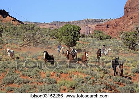 "Navajo cowboys with Mustangs, Utah, United States, North America" View Large Photo Image Stock Photograph - "Navajo cowboys with Mustangs, Utah, United States, North America". Fotosearch