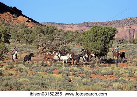 "Navajo cowboys with Mustangs, Utah, United States, North America" View Large Photo Image Stock Photography - "Navajo cowboys with Mustangs, Utah, United States, North America". Fotosearch