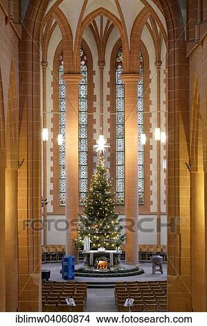 "Nave, sanctuary with altar decorated with Christmas tree and nativity scene, Church of the Holy Spirit, Heidelberg, Baden-Wurttemberg, Germany, Europe" View Large Photo Image Picture - "Nave, sanctuary with altar decorated with Christmas tree and nativity scene, Church of the Holy Spirit, Heidelberg, Baden-Wurttemberg, Germany, Europe". Fotosearch
