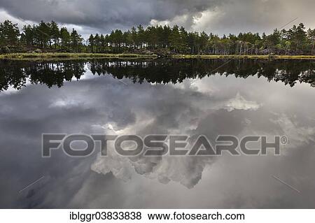 "Naveretjarn Lake with dramatic clouds and mirroring, Tresticklan National Park, Dalsland, Vastra Gotaland, Sweden, Europe" View Large Photo Image Stock Photo - "Naveretjarn Lake with dramatic clouds and mirroring, Tresticklan National Park, Dalsland, Vastra Gotaland, Sweden, Europe". Fotosearch