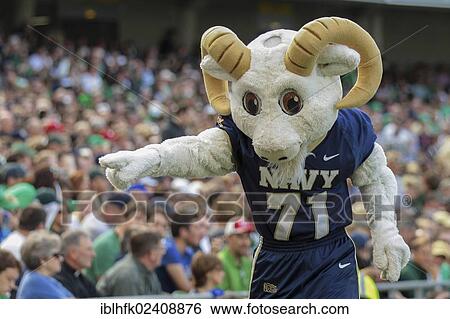 "Navy's macott, Billy the Goat, interacts with fans during the NCAA football game between the Navy and the Notre Dame on September 1, 2012 in Dublin, Ireland, Europe" View Large Photo Image Stock Photograph - "Navy's macott, Billy the Goat, interacts with fans during the NCAA football game between the Navy and the Notre Dame on September 1, 2012 in Dublin, Ireland, Europe". Fotosearch