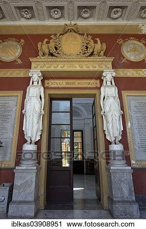 "Neoclassical portal of the former gymnasium, Botanical Garden, Orto Botanico di Palermo, Palermo, Province of Palermo, Sicily, Italy, Europe" View Large Photo Image Stock Image - "Neoclassical portal of the former gymnasium, Botanical Garden, Orto Botanico di Palermo, Palermo, Province of Palermo, Sicily, Italy, Europe". Fotosearch