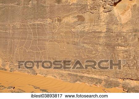 Stock Photo - "Neolithic rock art, Bovidian period, rock engraving of a cow or bull, Tadrart, Tassili n'Ajjer National Park, Unesco World Heritage Site, Sahara desert, Algeria, Africa". Fotosearch