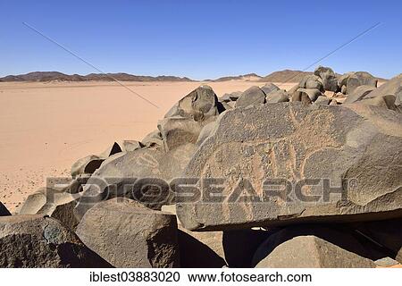 "Neolithic rock art, Bubaline or Bubalus period, rock engraving of a cow or bull, Tassili n'Ajjer National Park, Unesco World Heritage Site, Sahara desert, Algeria, Africa" View Large Photo Image Stock Image - "Neolithic rock art, Bubaline or Bubalus period, rock engraving of a cow or bull, Tassili n'Ajjer National Park, Unesco World Heritage Site, Sahara desert, Algeria, Africa". Fotosearch