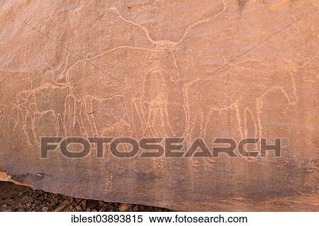 "Neolithic rock art, Bubaline or Bubalus period, rock engraving of bulls, Iherir canyon, Tassili n'Ajjer National Park, Unesco World Heritage Site, Sahara desert, Algeria, Africa" View Large Photo Image Stock Photography - "Neolithic rock art, Bubaline or Bubalus period, rock engraving of bulls, Iherir canyon, Tassili n'Ajjer National Park, Unesco World Heritage Site, Sahara desert, Algeria, Africa". Fotosearch