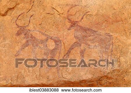 Stock Photo - "Neolithic rock art, rock painting of two cows or bulls, Bovidian period, Tassili n'Ajjer National Park, Unesco World Heritage Site, Algeria, Africa". Fotosearch