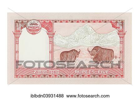 Nepalese five rupee banknote View Large Photo Image Stock Photo - Nepalese five rupee banknote. Fotosearch