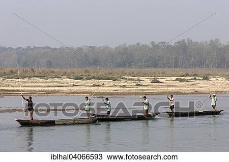 "Nepalese men in dugouts on the East Rapti River at Sauraha, Nepal, Asia" View Large Photo Image Stock Image - "Nepalese men in dugouts on the East Rapti River at Sauraha, Nepal, Asia". Fotosearch