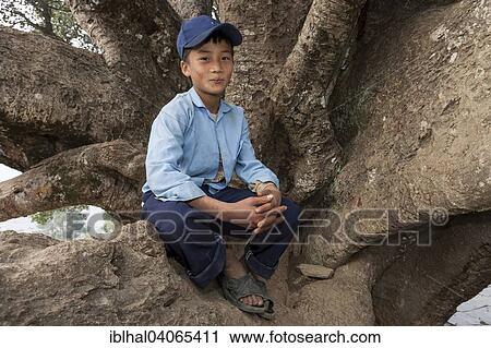 "Nepalese student wearing a school uniform sitting on a tree, Bandipur, Nepal, Asia" View Large Photo Image Stock Image - "Nepalese student wearing a school uniform sitting on a tree, Bandipur, Nepal, Asia". Fotosearch
