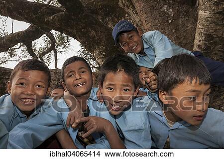 "Nepalese students wearing school uniforms posing on a tree, Bandipur, Nepal, Asia" View Large Photo Image Picture - "Nepalese students wearing school uniforms posing on a tree, Bandipur, Nepal, Asia". Fotosearch