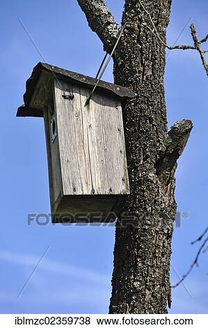 "Nesting box on a dead tree, Hundshaupten, Upper Franconia, Bavaria, Germany, Europe" View Large Photo Image Stock Photo - "Nesting box on a dead tree, Hundshaupten, Upper Franconia, Bavaria, Germany, Europe". Fotosearch