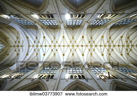 Stock Photo - "Net vaulting in the nave, York Minster, York, North Yorkshire, England, United Kingdom, Europe". Fotosearch