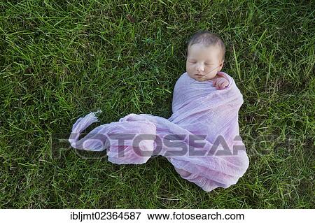 "Newborn baby, ten days" View Large Photo Image Stock Photo - "Newborn baby, ten days". Fotosearch