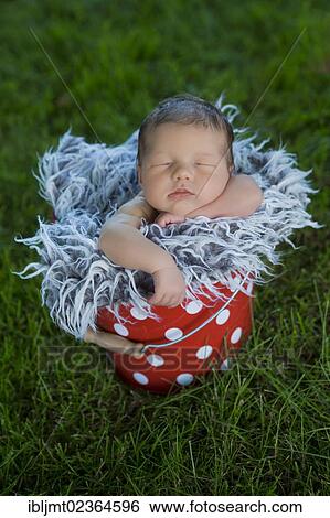 "Newborn baby, ten days" View Large Photo Image Stock Photograph - "Newborn baby, ten days". Fotosearch