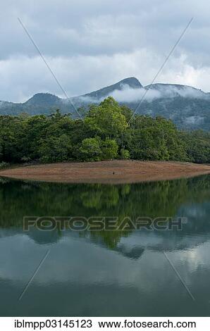"Neyyar Dam, Reservoir, Neyyar Dam Nationalpark, Kerala, India, Asia" View Large Photo Image Stock Image - "Neyyar Dam, Reservoir, Neyyar Dam Nationalpark, Kerala, India, Asia". Fotosearch