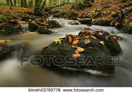 Stock Photo - "Nidda river in autumn, Hoherodskopf, Hesse, Germany, Europe". Fotosearch