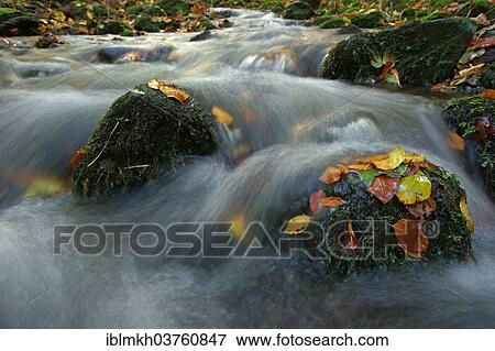 "Nidda river in autumn, Hoherodskopf, Hesse, Germany, Europe" View Large Photo Image Stock Photo - "Nidda river in autumn, Hoherodskopf, Hesse, Germany, Europe". Fotosearch