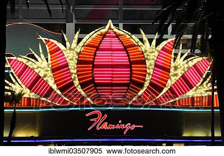 "Night scene, luxury hotel, Flamingo Hilton, Las Vegas, Nevada, United States, North America" View Large Photo Image Stock Photography - "Night scene, luxury hotel, Flamingo Hilton, Las Vegas, Nevada, United States, North America". Fotosearch