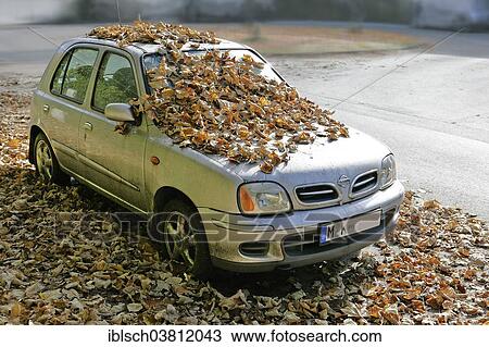 Stock Image - "Nissan car covered in autumn leaves, Germany, Europe". Fotosearch