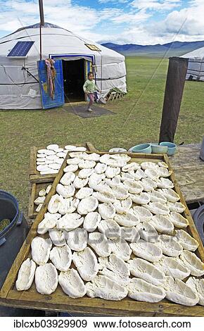 Stock Photo - "Nomad cheese is laid out to dry, in front of a yurt or ger, Aimag centre Bulgan, Bulgan Aimag, Mongolia, Asia". Fotosearch