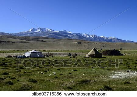 "Nomad tents, snow covered mountains in the distance, Korzok, Ladakh, Jammu and Kashmir, India, Asia" View Large Photo Image Stock Photograph - "Nomad tents, snow covered mountains in the distance, Korzok, Ladakh, Jammu and Kashmir, India, Asia". Fotosearch