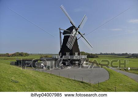 "Norder windmill, Pellworm, North Frisia, Schleswig-Holstein, Germany, Europe" View Large Photo Image Stock Photography - "Norder windmill, Pellworm, North Frisia, Schleswig-Holstein, Germany, Europe". Fotosearch