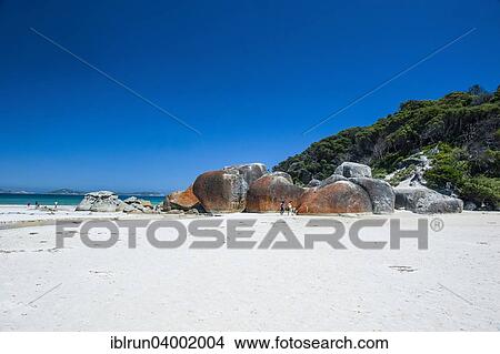 "Norman Beach, Wilsons Promontory National Park, Victoria, Australia, Oceania" View Large Photo Image Picture - "Norman Beach, Wilsons Promontory National Park, Victoria, Australia, Oceania". Fotosearch