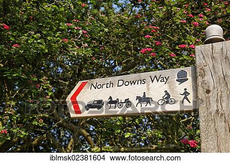 "North Downs Way, start of the path into the city, Via Francigena, Canterbury, South East England, administrative county of Kent, England, United Kingdom, Europe" View Large Photo Image Picture - "North Downs Way, start of the path into the city, Via Francigena, Canterbury, South East England, administrative county of Kent, England, United Kingdom, Europe". Fotosearch