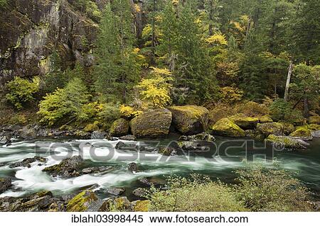 "North Umqua River in autumn, Roseburg, Oregon, United States, North America" View Large Photo Image Stock Photography - "North Umqua River in autumn, Roseburg, Oregon, United States, North America". Fotosearch
