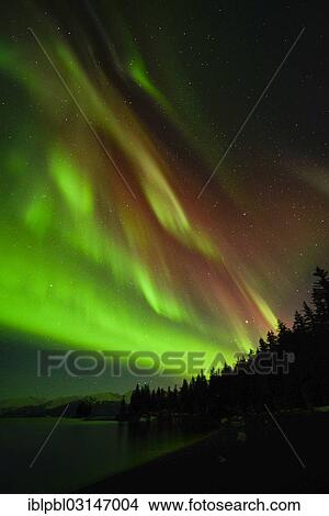 "Northern lights, Aurora Borealis, College Fijord, Prince Willam Sound, Anchorage, Alaska, United States, North America" View Large Photo Image Picture - "Northern lights, Aurora Borealis, College Fijord, Prince Willam Sound, Anchorage, Alaska, United States, North America". Fotosearch