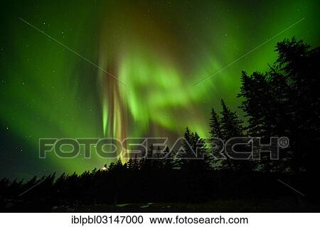 "Northern lights, Aurora Borealis, College Fijord, Prince Willam Sound, Anchorage, Alaska, United States, North America" View Large Photo Image Stock Image - "Northern lights, Aurora Borealis, College Fijord, Prince Willam Sound, Anchorage, Alaska, United States, North America". Fotosearch
