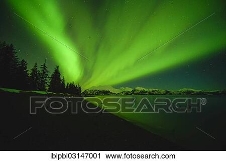 "Northern lights, Aurora Borealis, College Fijord, Prince Willam Sound, Anchorage, Alaska, United States, North America" View Large Photo Image Stock Image - "Northern lights, Aurora Borealis, College Fijord, Prince Willam Sound, Anchorage, Alaska, United States, North America". Fotosearch