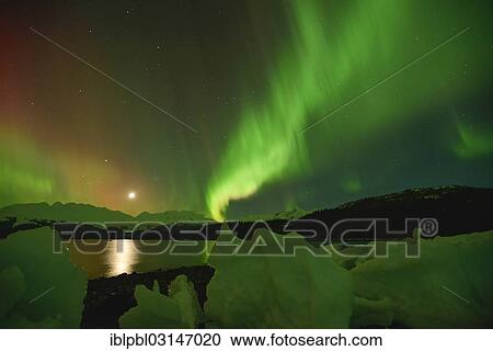 "Northern lights, Aurora Borealis, College Fjord, Prince William Sound, Anchorage, Alaska, United States, North America" View Large Photo Image Stock Image - "Northern lights, Aurora Borealis, College Fjord, Prince William Sound, Anchorage, Alaska, United States, North America". Fotosearch