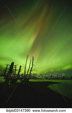 "Northern lights, Aurora Borealis, College Fjord, Prince William Sound, Alaska, Anchorage, Alaska, United States, North America" View Large Photo Image Stock Image - "Northern lights, Aurora Borealis, College Fjord, Prince William Sound, Alaska, Anchorage, Alaska, United States, North America". Fotosearch
