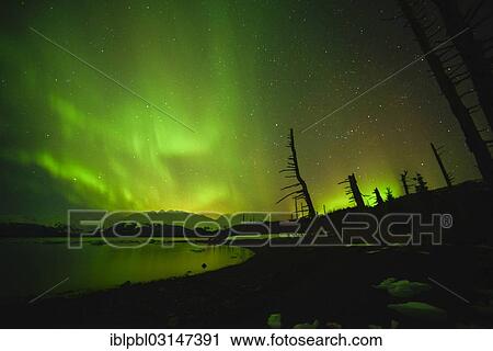 "Northern lights, Aurora Borealis, College Fjord, Prince William Sound, Alaska, Anchorage, Alaska, United States, North America" View Large Photo Image Stock Image - "Northern lights, Aurora Borealis, College Fjord, Prince William Sound, Alaska, Anchorage, Alaska, United States, North America". Fotosearch
