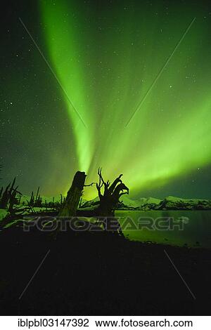 "Northern lights, Aurora Borealis, College Fjord, Prince William Sound, Alaska, Anchorage, Alaska, United States, North America" View Large Photo Image Stock Image - "Northern lights, Aurora Borealis, College Fjord, Prince William Sound, Alaska, Anchorage, Alaska, United States, North America". Fotosearch