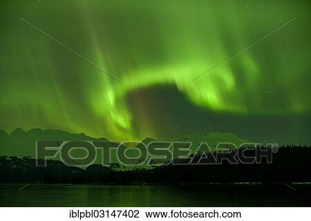 "Northern lights, Aurora Borealis, College Fjord, Prince William Sound, Alaska, Anchorage, Alaska, United States, North America" View Large Photo Image Stock Image - "Northern lights, Aurora Borealis, College Fjord, Prince William Sound, Alaska, Anchorage, Alaska, United States, North America". Fotosearch