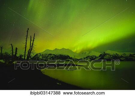 "Northern lights, Aurora Borealis, College Fjord, Prince William Sound, Alaska, Anchorage, Alaska, United States, North America" View Large Photo Image Stock Photo - "Northern lights, Aurora Borealis, College Fjord, Prince William Sound, Alaska, Anchorage, Alaska, United States, North America". Fotosearch