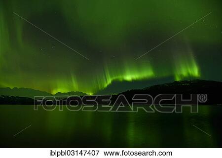 "Northern lights, Aurora Borealis, College Fjord, Prince William Sound, Alaska, Anchorage, Alaska, United States, North America" View Large Photo Image Stock Photo - "Northern lights, Aurora Borealis, College Fjord, Prince William Sound, Alaska, Anchorage, Alaska, United States, North America". Fotosearch