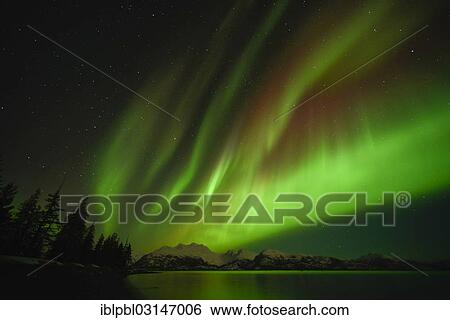 "Northern lights, Aurora Borealis, College Fijord, Prince Willam Sound, Anchorage, Alaska, United States, North America" View Large Photo Image Stock Photograph - "Northern lights, Aurora Borealis, College Fijord, Prince Willam Sound, Anchorage, Alaska, United States, North America". Fotosearch