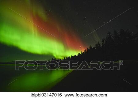 "Northern lights, Aurora Borealis, College Fjord, Prince William Sound, Anchorage, Alaska, United States, North America" View Large Photo Image Stock Photograph - "Northern lights, Aurora Borealis, College Fjord, Prince William Sound, Anchorage, Alaska, United States, North America". Fotosearch