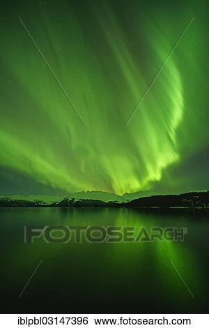 "Northern lights, Aurora Borealis, College Fjord, Prince William Sound, Alaska, Anchorage, Alaska, United States, North America" View Large Photo Image Stock Photograph - "Northern lights, Aurora Borealis, College Fjord, Prince William Sound, Alaska, Anchorage, Alaska, United States, North America". Fotosearch