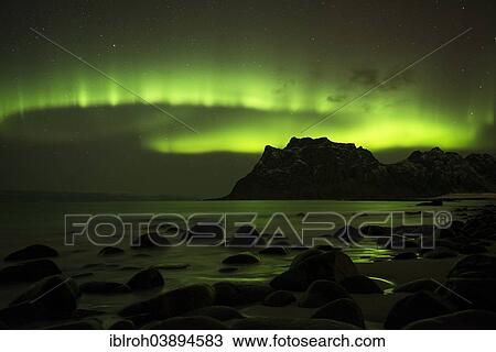 "Northern lights or aurora borealis, Utakleiv, Lofoten, Norway, Europe" View Large Photo Image Stock Image - "Northern lights or aurora borealis, Utakleiv, Lofoten, Norway, Europe". Fotosearch