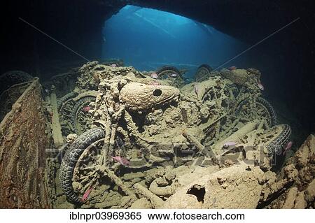 "Northon 16 H motorcycle, cargo on the shipwreck of the SS Thistlegorm, Red Sea, Shaab Ali, Sinai Peninsula, Egypt, Africa" View Large Photo Image Stock Photography - "Northon 16 H motorcycle, cargo on the shipwreck of the SS Thistlegorm, Red Sea, Shaab Ali, Sinai Peninsula, Egypt, Africa". Fotosearch
