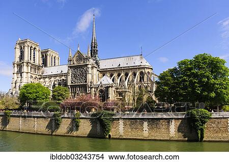 Picture - "Notre Dame Cathedral, Seine River, Ile de la Cite, Paris, Ile-de-France, France, Europe". Fotosearch