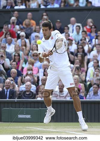 "Novak Djokovic, SRB, Wimbledon Championships in 2014, ITF Grand Slam Tennis Tournament, AELTC, All England Lawn Tennis and Croquet Club, London, England, United Kingdom, Europe" View Large Photo Image Stock Image - "Novak Djokovic, SRB, Wimbledon Championships in 2014, ITF Grand Slam Tennis Tournament, AELTC, All England Lawn Tennis and Croquet Club, London, England, United Kingdom, Europe". Fotosearch