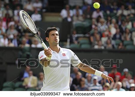 "Novak Djokovic, SRB, Wimbledon Championships in 2014, ITF Grand Slam Tennis Tournament, AELTC, All England Lawn Tennis and Croquet Club, London, England, United Kingdom, Europe" View Large Photo Image Stock Photo - "Novak Djokovic, SRB, Wimbledon Championships in 2014, ITF Grand Slam Tennis Tournament, AELTC, All England Lawn Tennis and Croquet Club, London, England, United Kingdom, Europe". Fotosearch