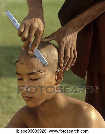 "Novice having his hair shaved, Amarapura, Mandalay Division, Myanmar, Burma, Asia" View Large Photo Image Stock Image - "Novice having his hair shaved, Amarapura, Mandalay Division, Myanmar, Burma, Asia". Fotosearch